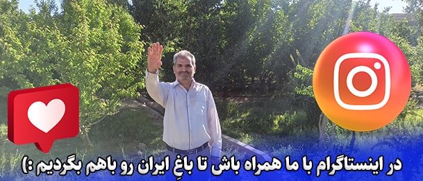 ایسنتاگرام باغِ ایران