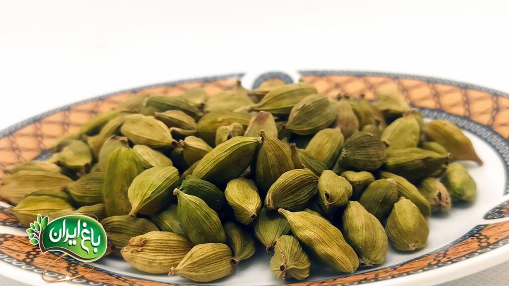 انواع هل اکبر چیست؟ چه تفاوتی دارند؟ - باغ ایران