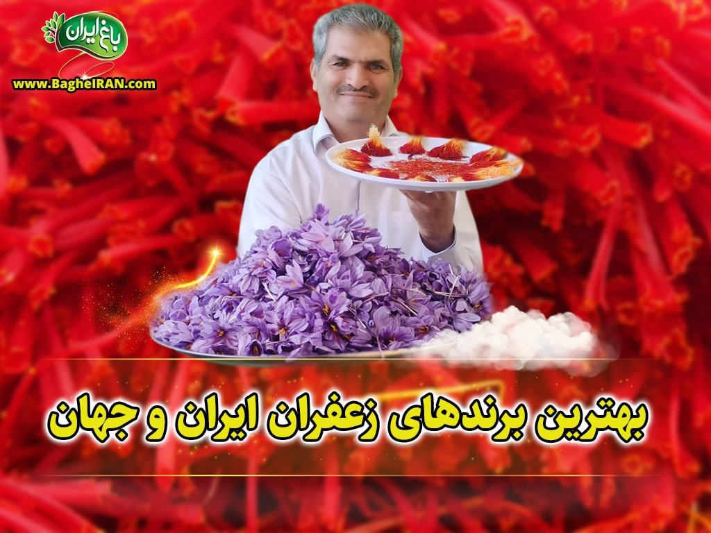 بهترین برندهای زعفران در ایران و جهان