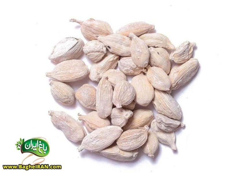 فواید و خواص هل چیست؟ (+18 خاصیت هل برای سلامتی) - باغ ایران