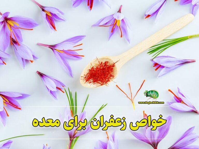 خواص زعفران برای معده
