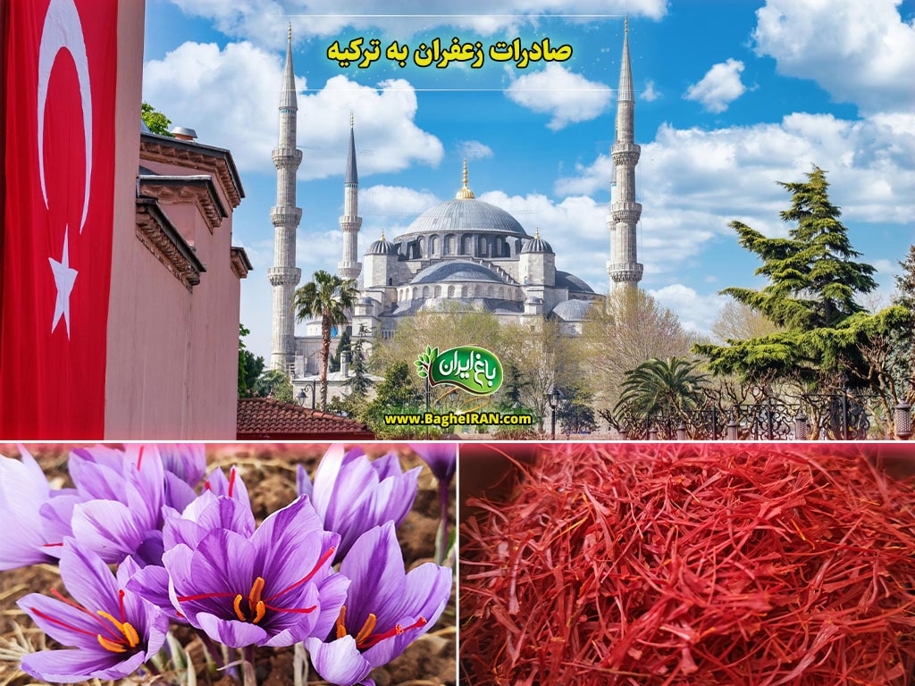 صادرات زعفران به ترکیه