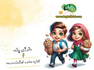 انرژی پک مدرسه (آجیل و پروتئین بار، تغذیه سالم) – بسته 5 عددی