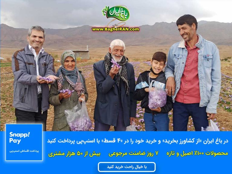 اسنپ پی و باغ ایران